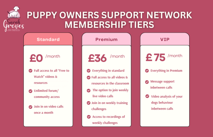 Membership options - find the right support for you!