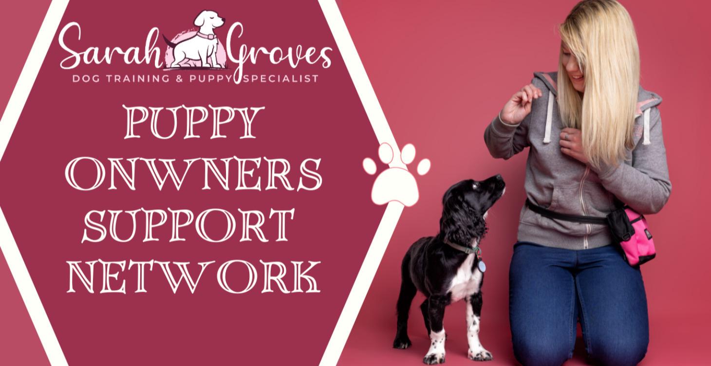 How to use the platform