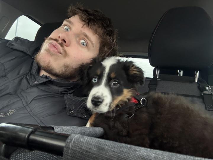 Introducing Moose :) 🫎 