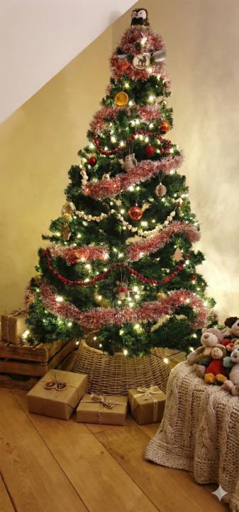 Have you braved putting Xmas decs up with a puppy yet?