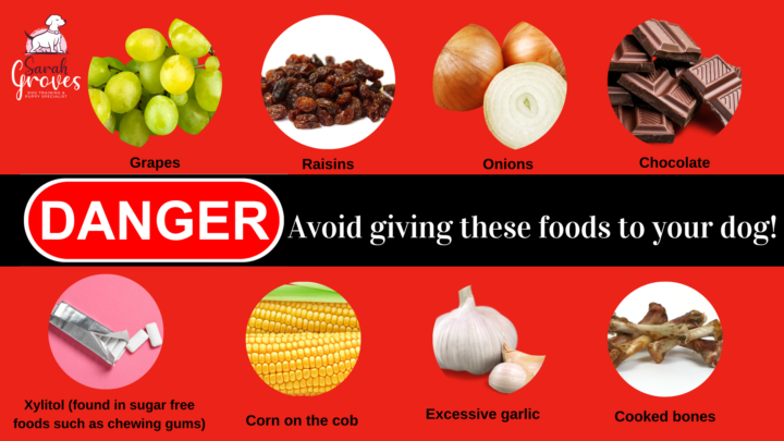 What's your pup's FAVOURITE food?