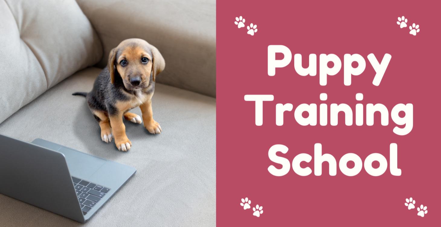 Puppy Training School