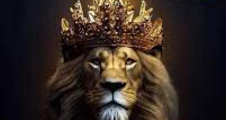 Alphas Amongst Kingz