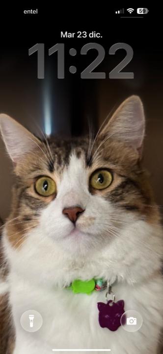 Carola Correa Correa