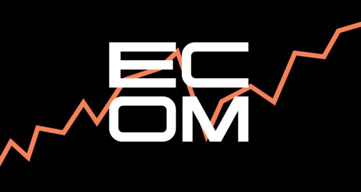 Ecom VIP Akademija 2.0