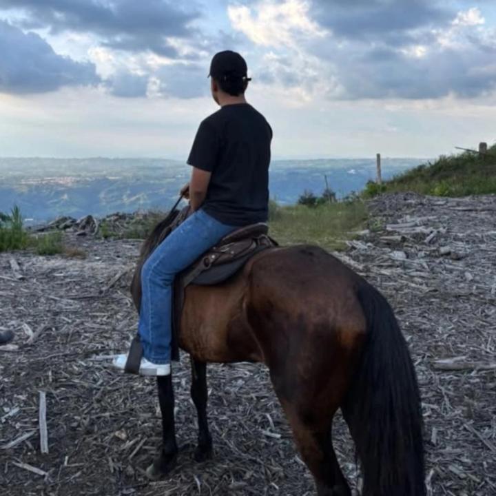 Cristhian Camilo Salcedo Bermudez