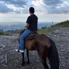 Cristhian Camilo Salcedo Bermudez