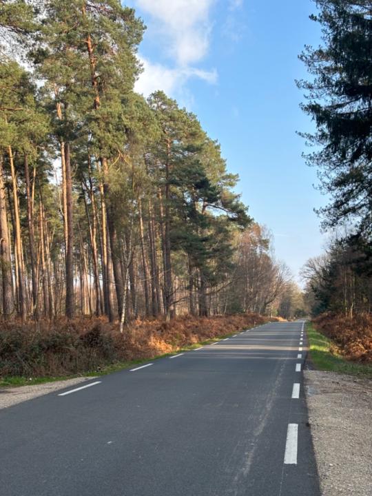 Matheo Online Business