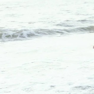 Stefano Self Publisher