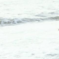 Stefano Self Publisher