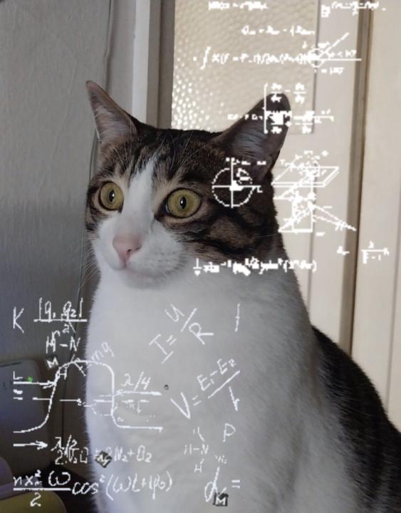 Jesus Eduardo Ferraez Galeana