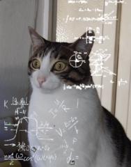 Jesus Eduardo Ferraez Galeana