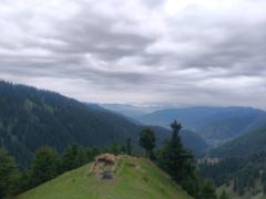Ayan Channa