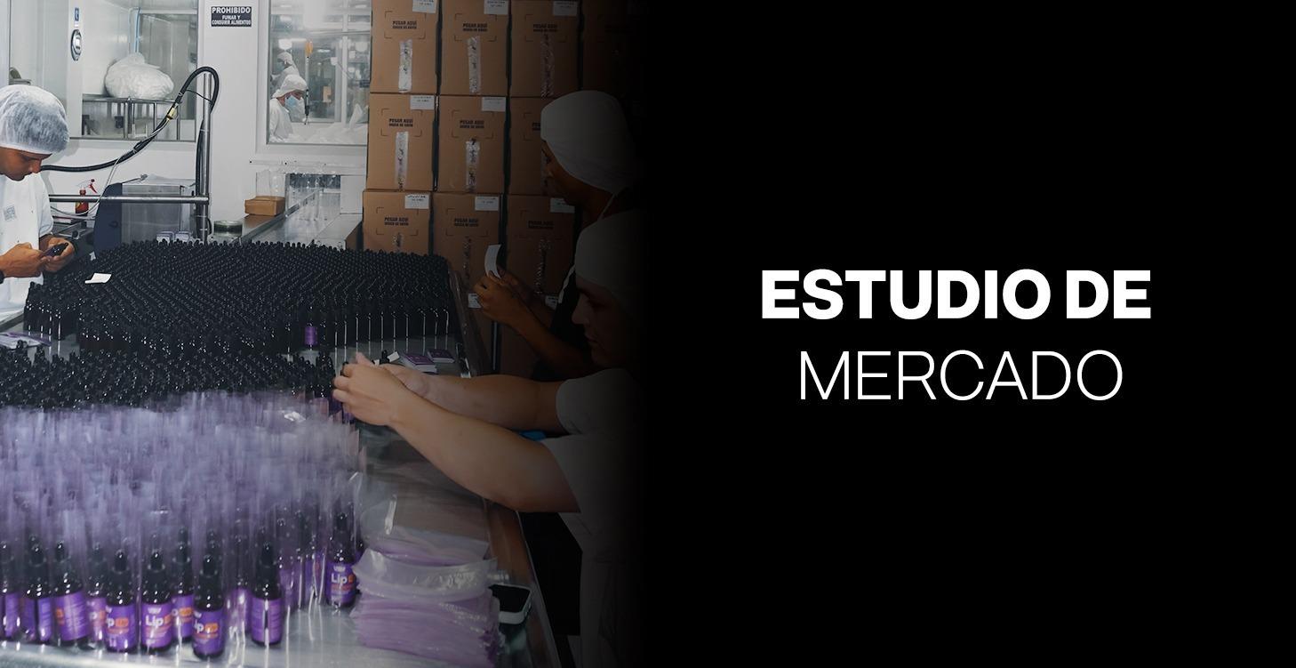 Estudio de mercado