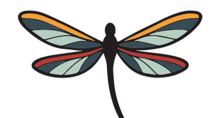 Transformations Coaching