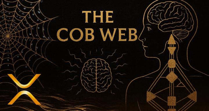 COB🕸️WEB ACADEMY