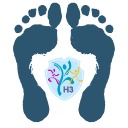 Barefoot Lifestyle Hub