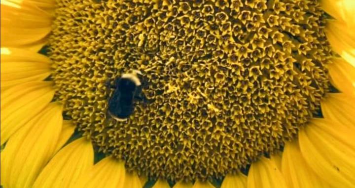 Creative Expression Dr Lisa