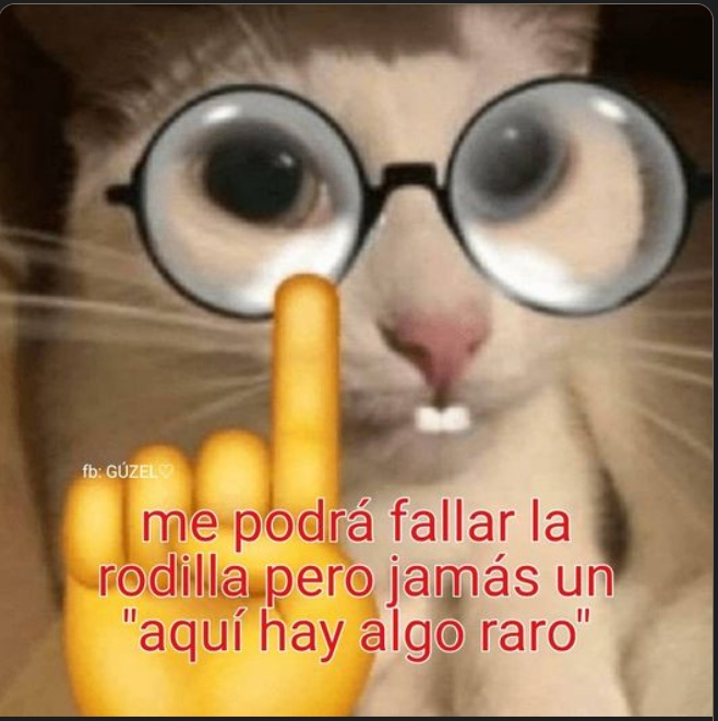 Rex Manuel
