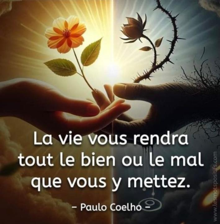 Doumbia Daman