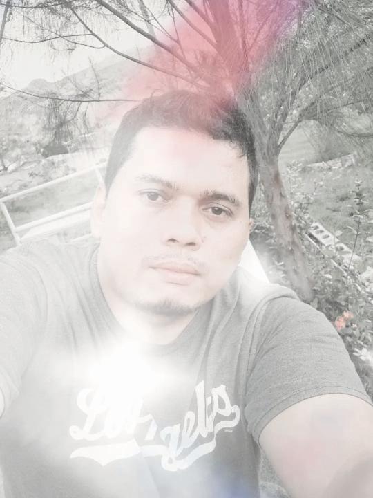 Diviér Viera
