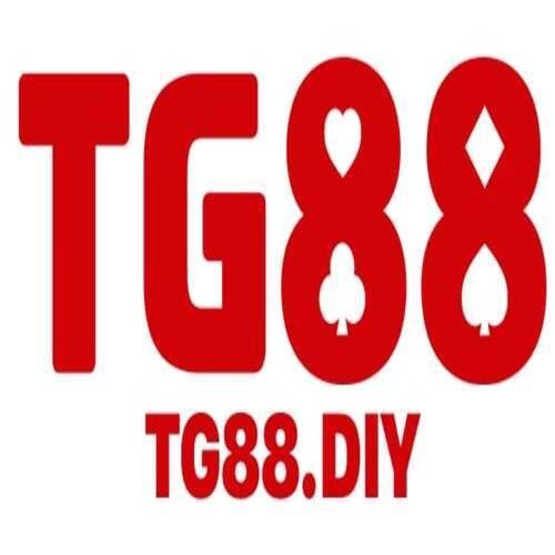 Tg Diy