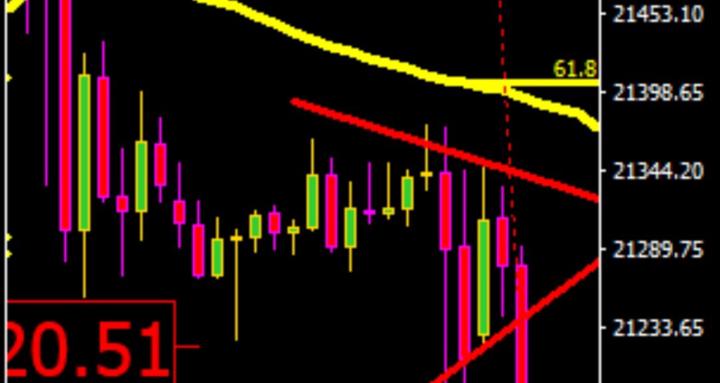 TraidingForex&CryptoRealTrader