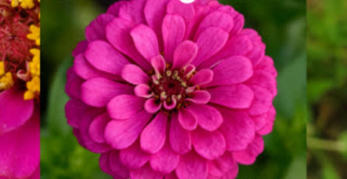 Welcome Streaming TV enthusiasts!