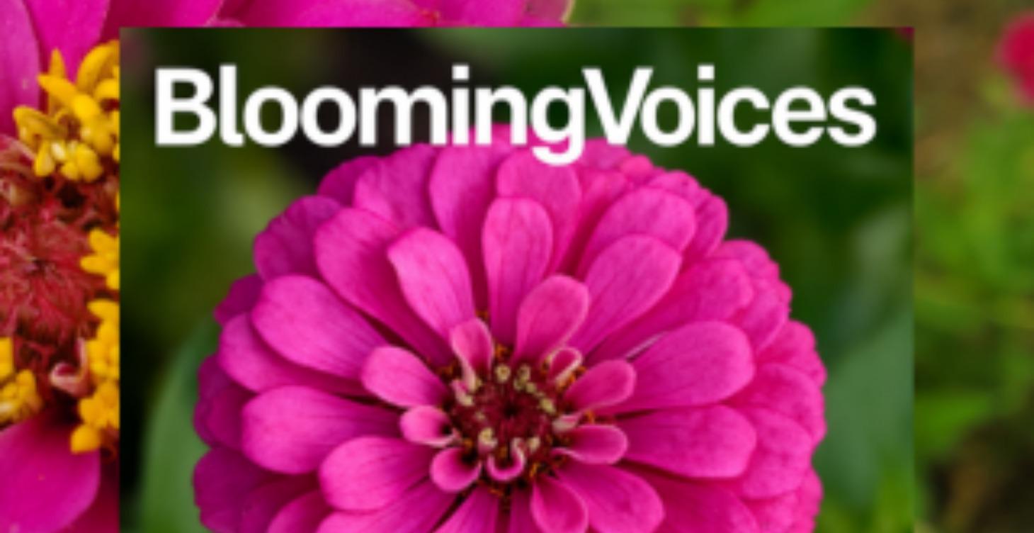 Making the Most of your Membership & This Platform