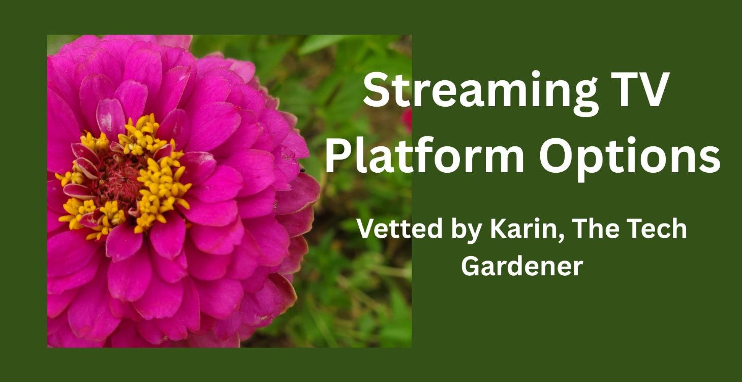 Streaming TV Platform Options