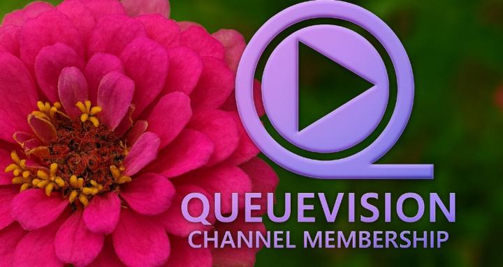 BloomingVoices Streaming TV 