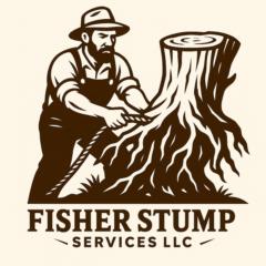 Jj Fisher
