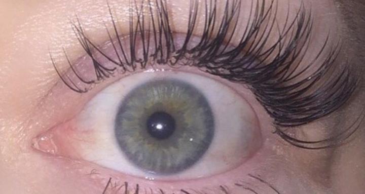 Lash Foundations Lab