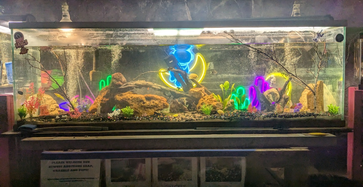 Welcome to Nature's Slice!