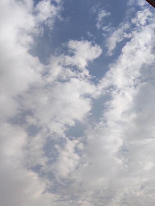 معاذ الوباري