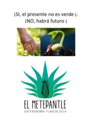 Rocío Torres Garcia