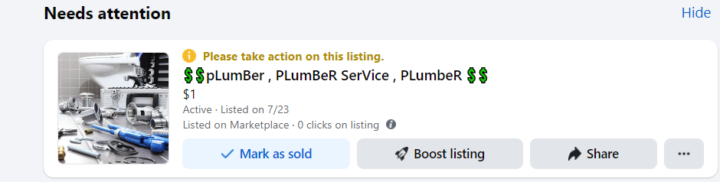 Anyone Used Facebook Marketplace ?