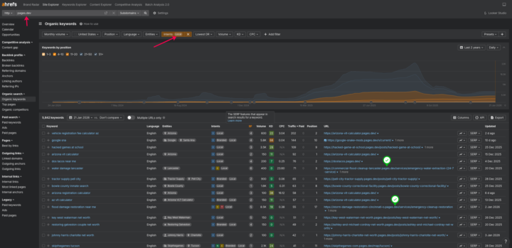 Do Local Sites Pro websites actually rank?