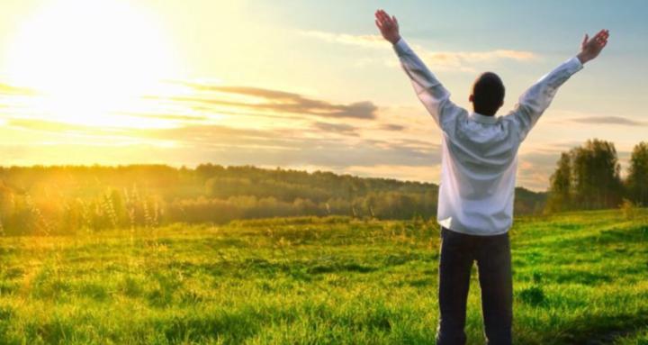 The University Of Life 