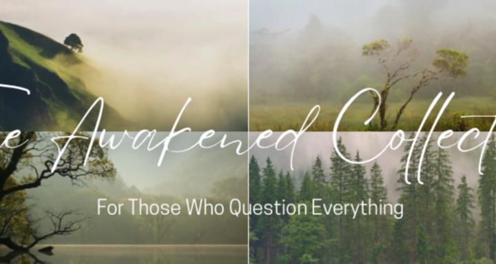 The Awakened Collective