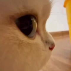 M M