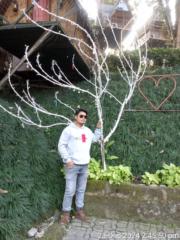 Shekhar Subba