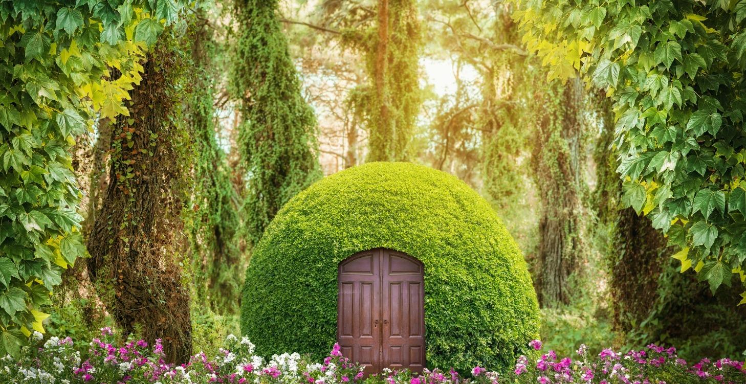 🧚 Faery Magic in May