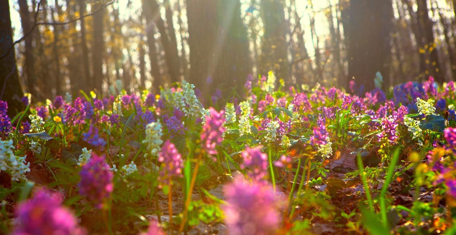 Exploring Abundance in April 🐣