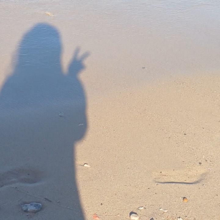 Ariana Portiño
