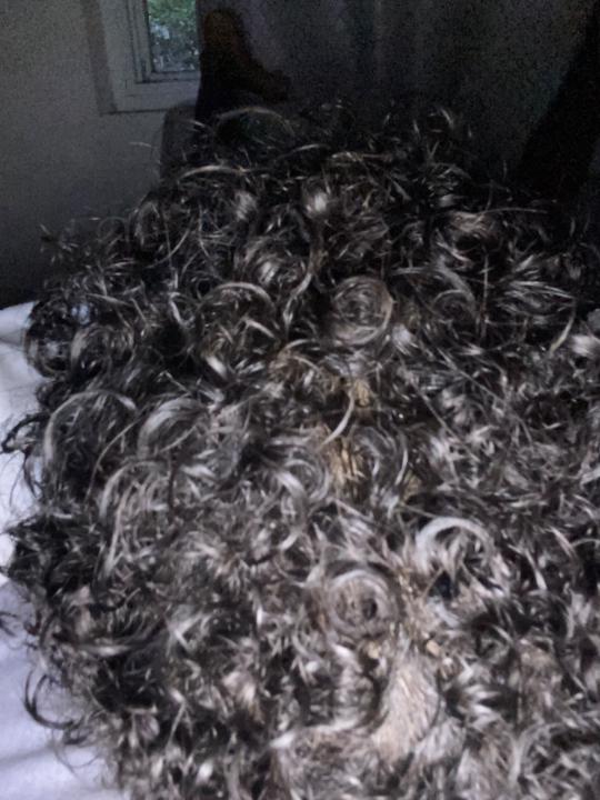 Kyle Winston cooper gale