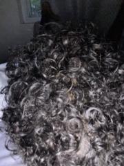 Kyle Winston cooper gale