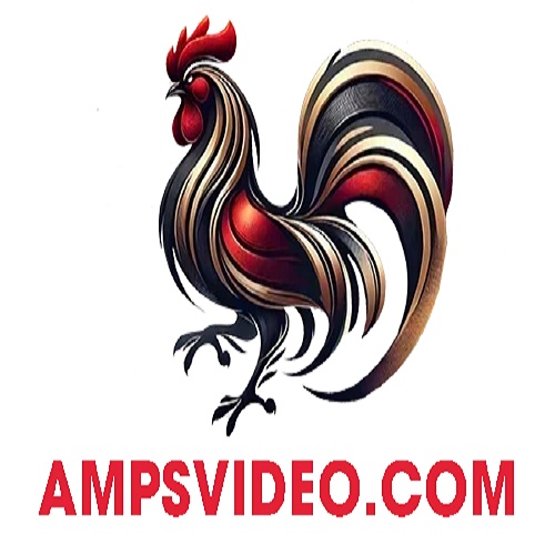 Đá gà trực tiếp Thomo