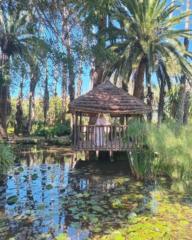 Sanae OULD EL-maallem