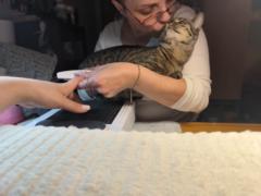 Štěpánka Pražáková